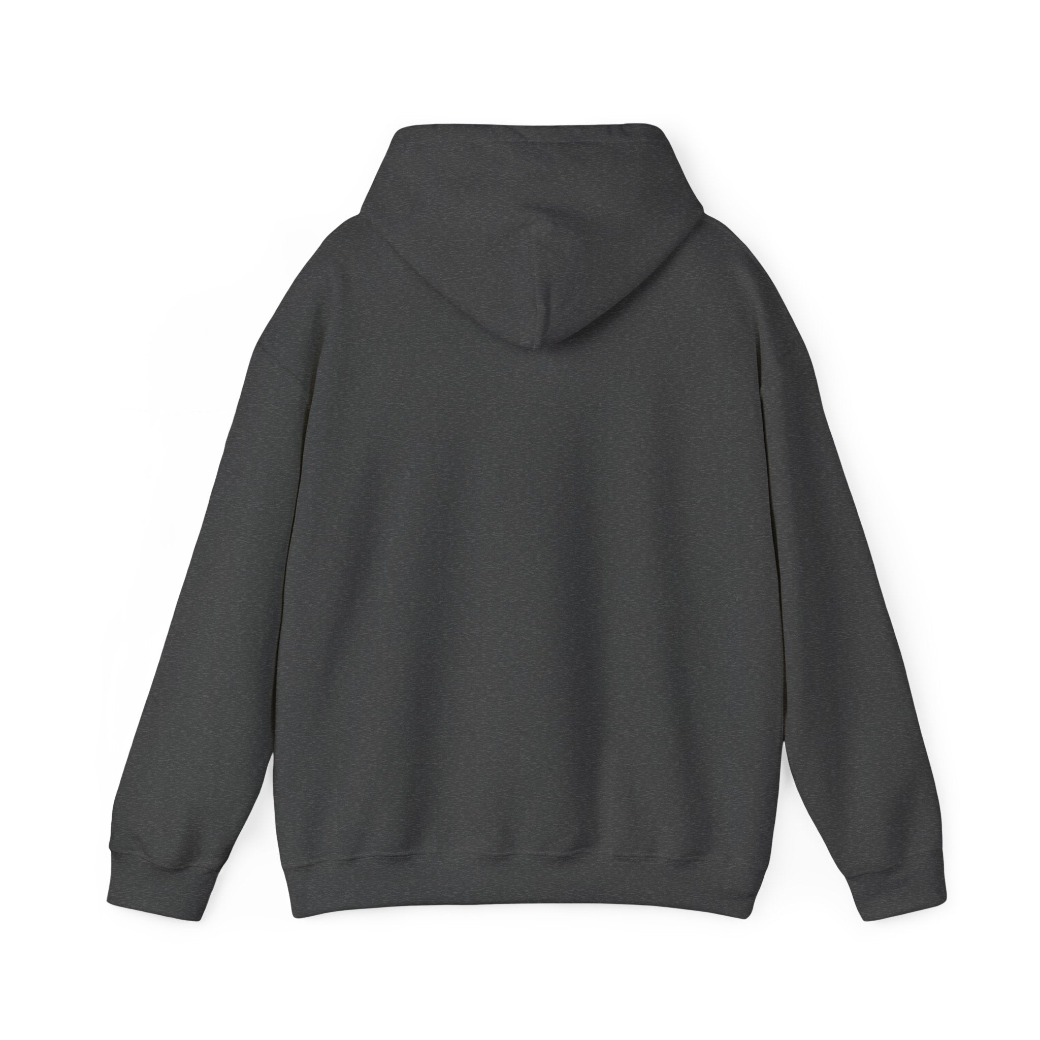 Coast to Comb Classic Hoodie (Unisex)