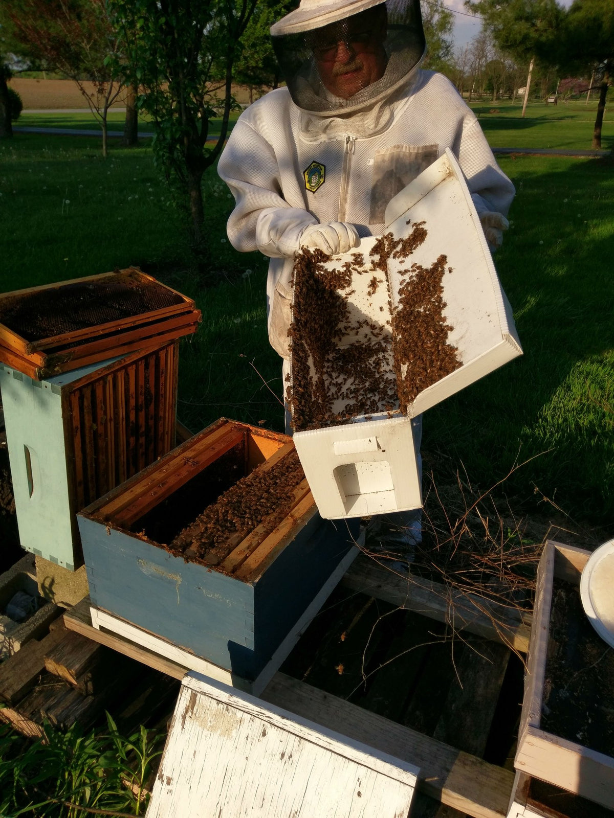 BEEpothecary