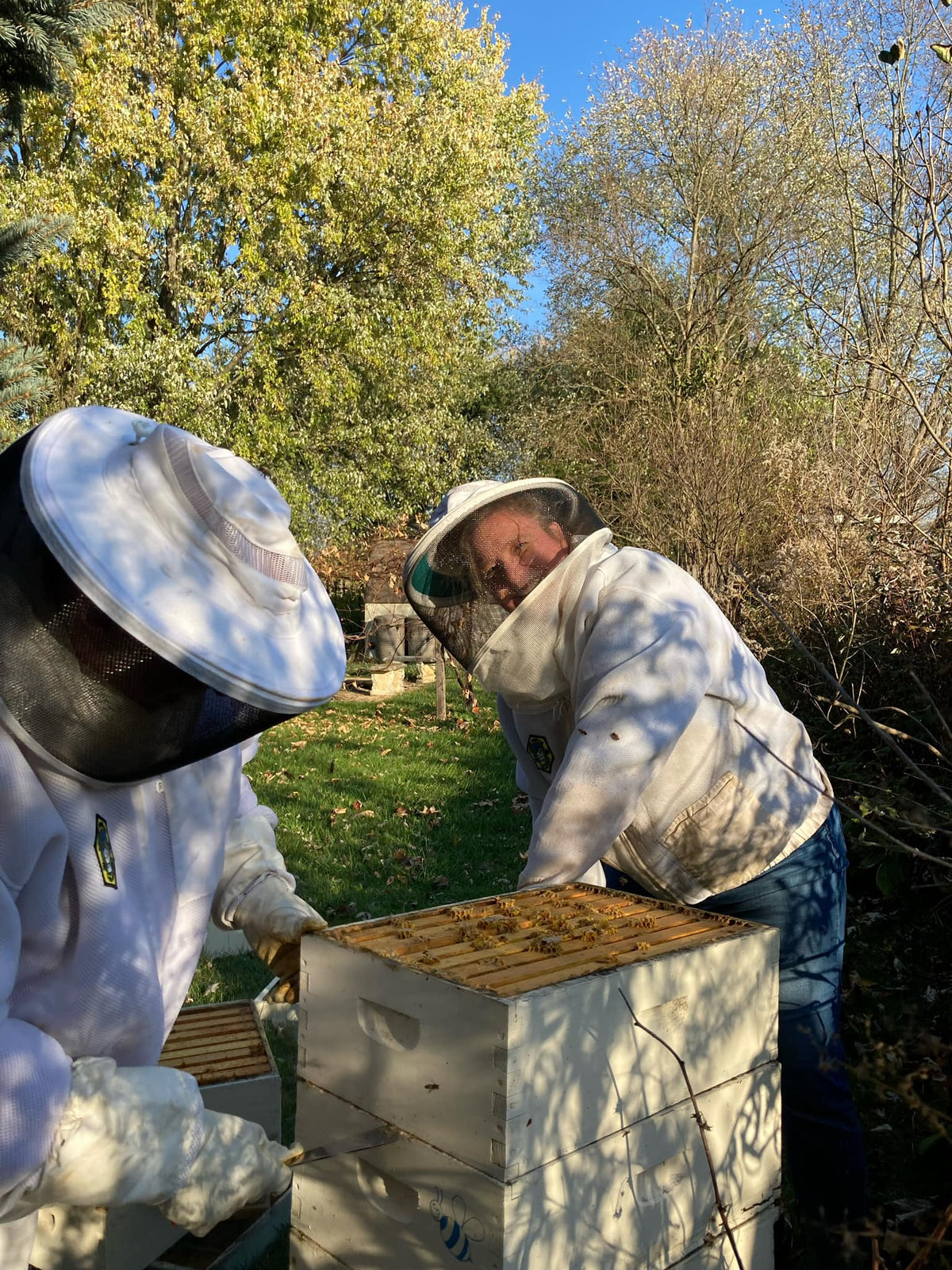 BEEpothecary