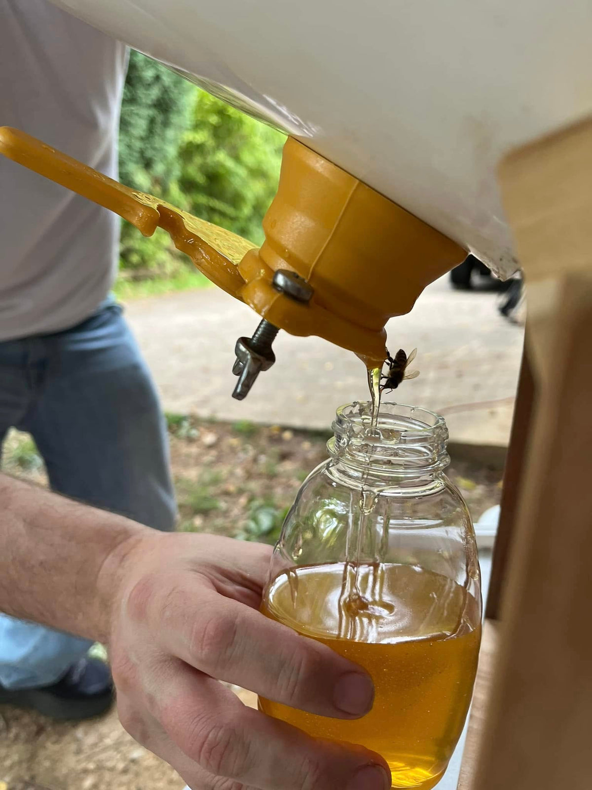 BEEpothecary