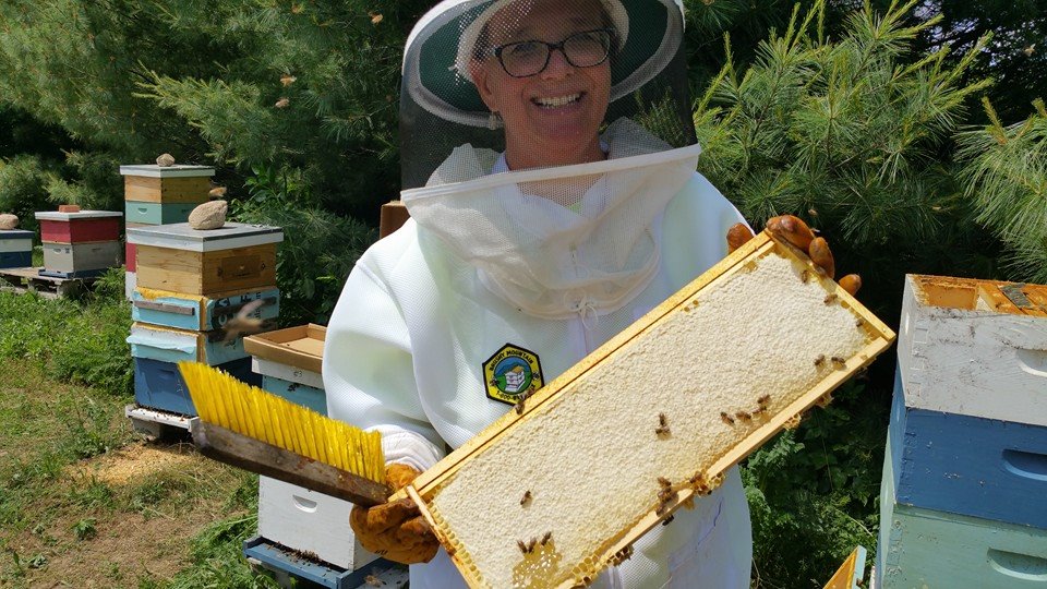 BEEpothecary