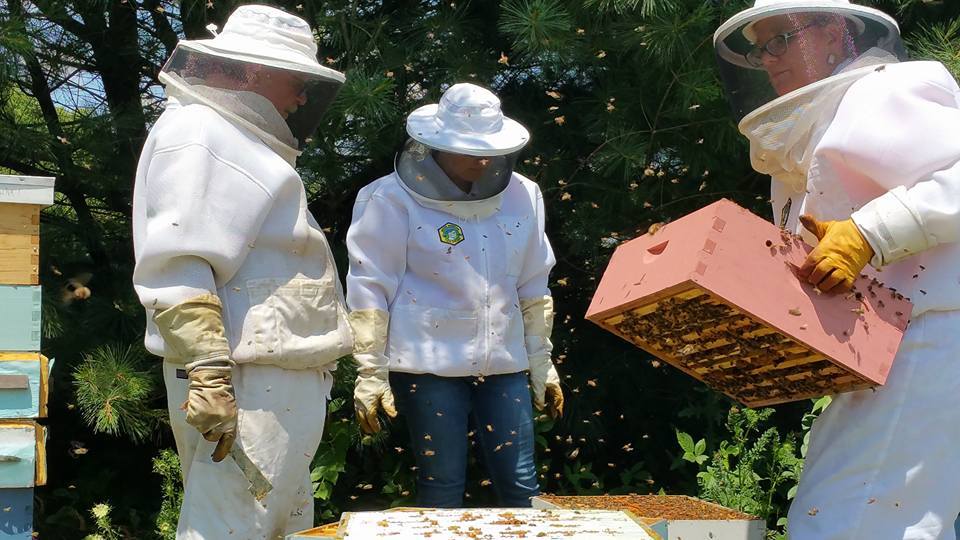 BEEpothecary