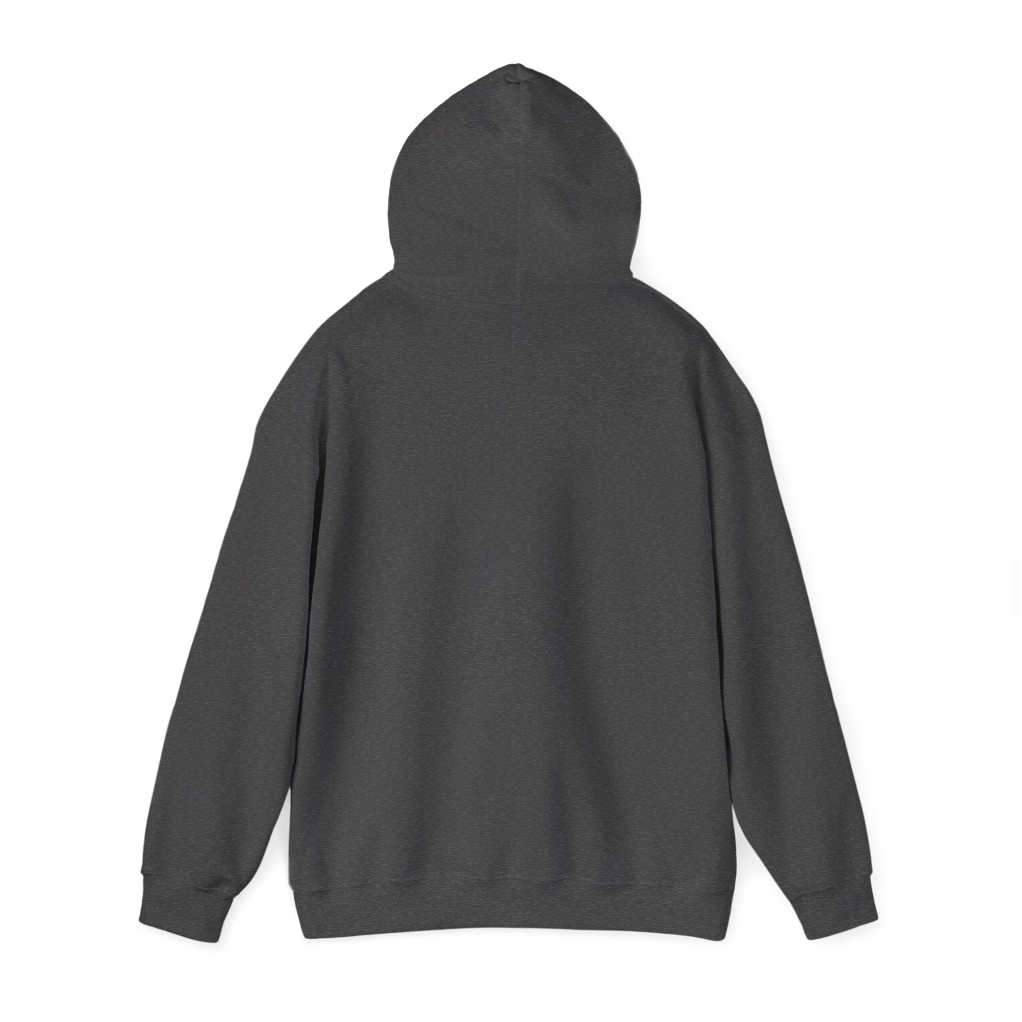 Coast to Comb Classic Hoodie (Unisex)