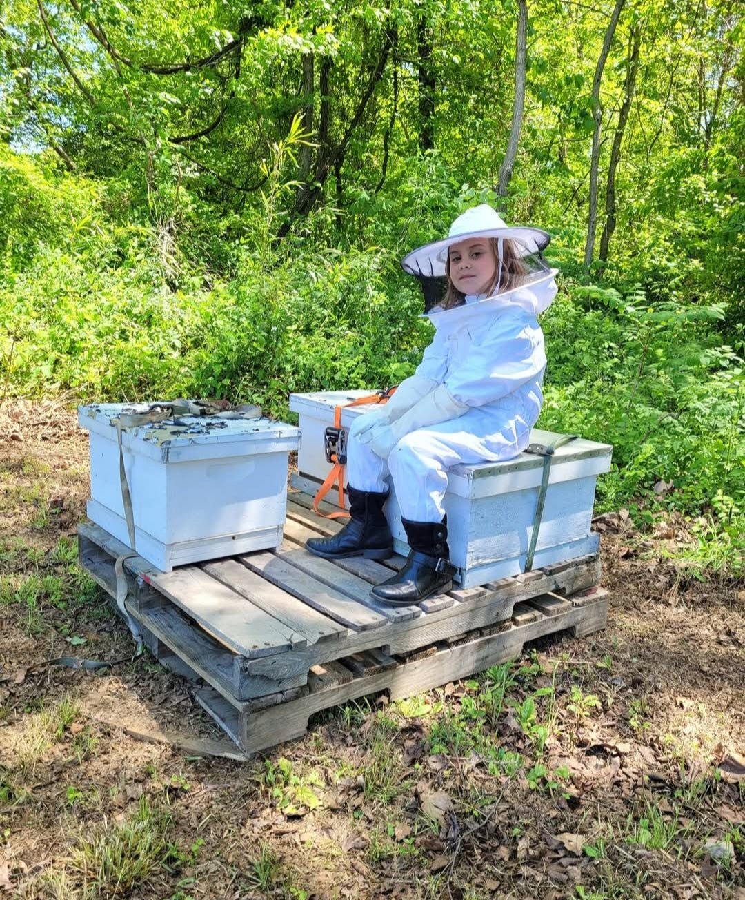 Person in a beekeeping suit sitting on a pallet with bee hives in a forest setting