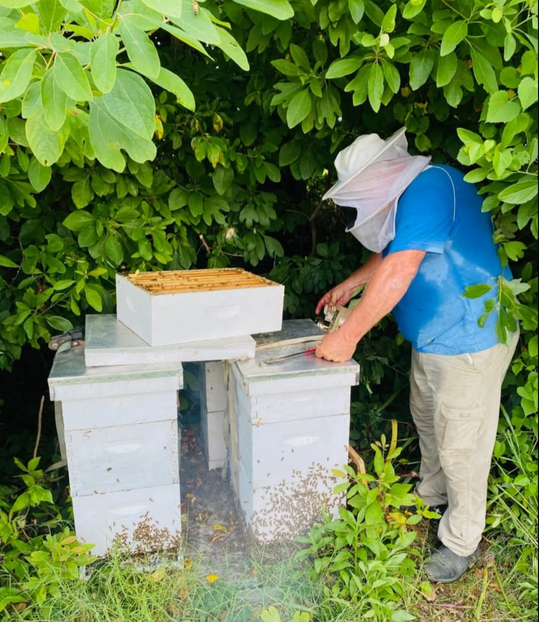 Scatter Creek Honey Farm